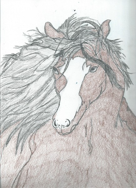 The love Of Horses