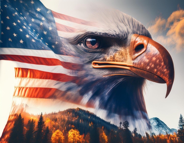  first image is a Majestic American Bald Eagle with American fl (3)