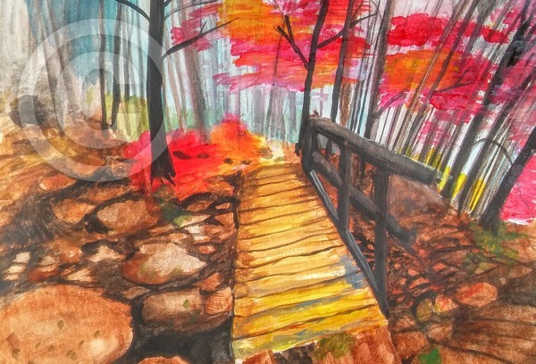 A Walk in the Woods