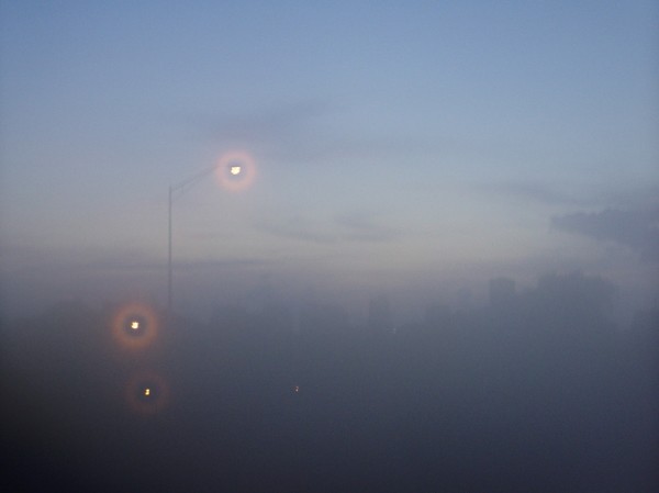 6s2dqvnpoa2lz804