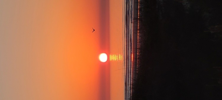 Sunflight