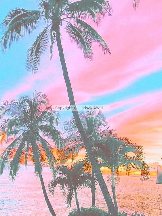 Colored Palms