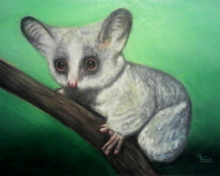 Marsupial