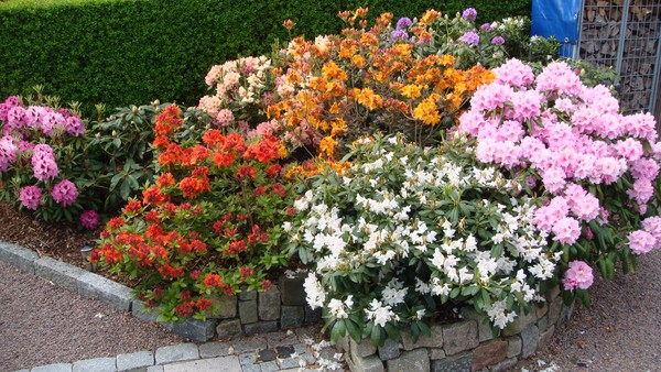 Spring is in teh air, and summer may come..