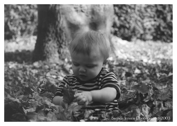 Kids in Leaves 3
