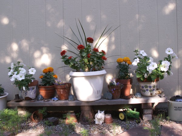 Garden Tour 6 