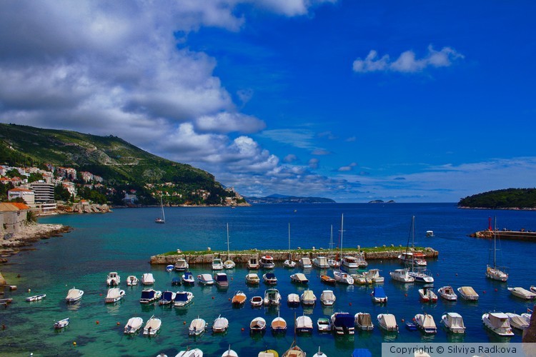 The Dubrovnik harbor
