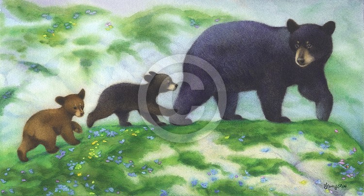 Cubs' Day Out 