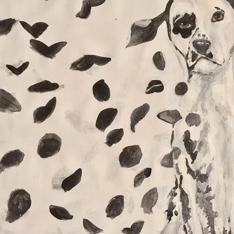 The dalmatian who lost its spots to the wind