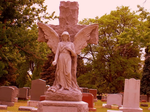 Angel's Among Us