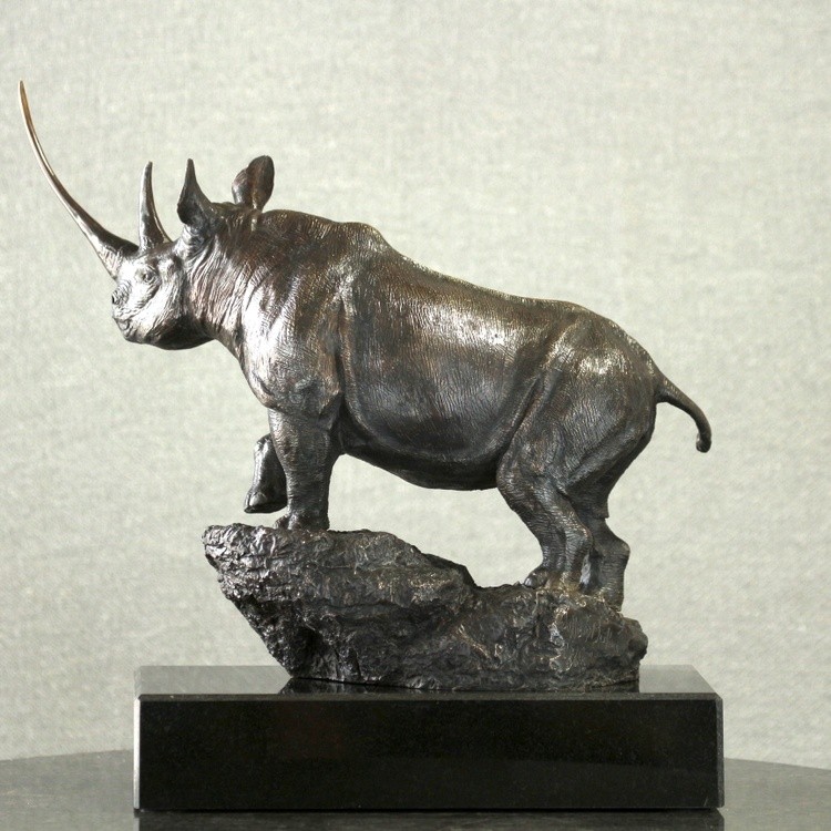 Waiwai The Black Rhino