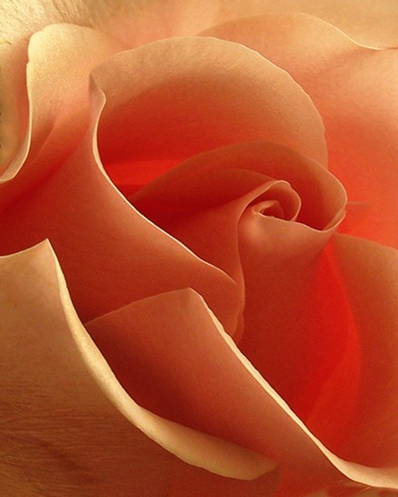 Desire