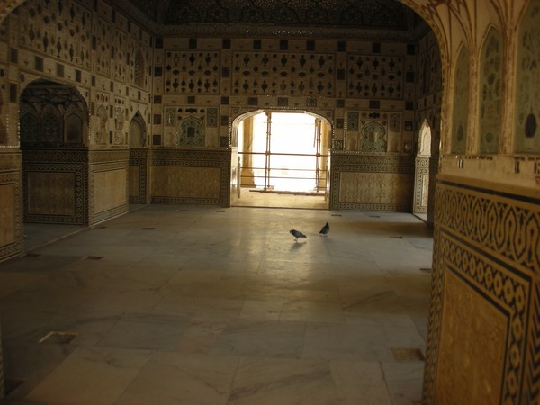 Royal shelter!!