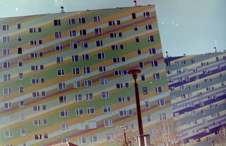 IMG 0347