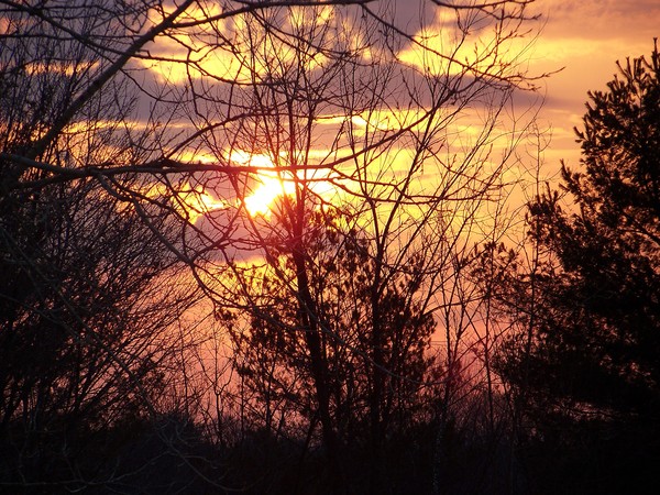 Burst of Morn