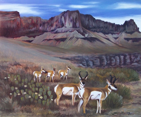 Canyon Flowers - Pronghorns - Grand Canyon