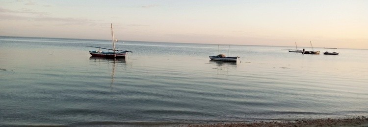 IMG 20210202 173109 373