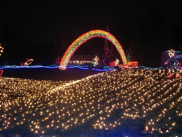 Zoolights in Tacoma