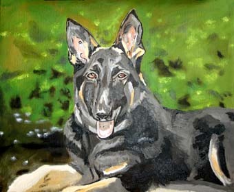 German Shepherd