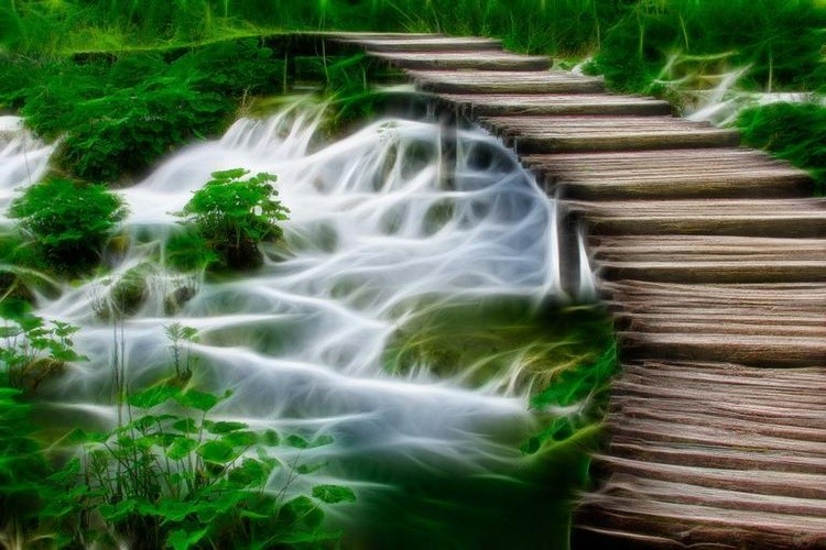 water web bridge wooden