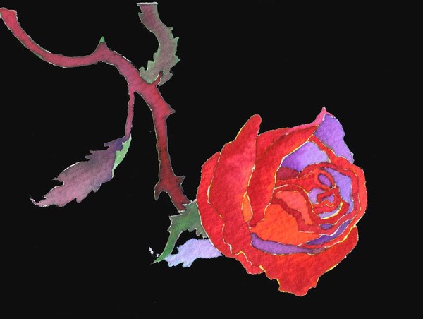 Rose