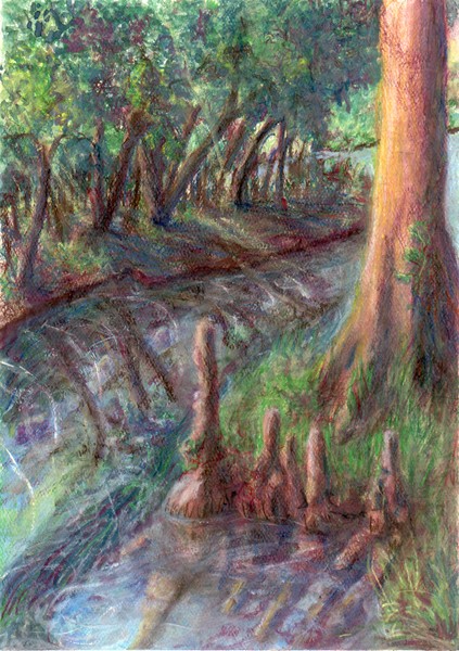 Ginnie Run on the Santa Fe River