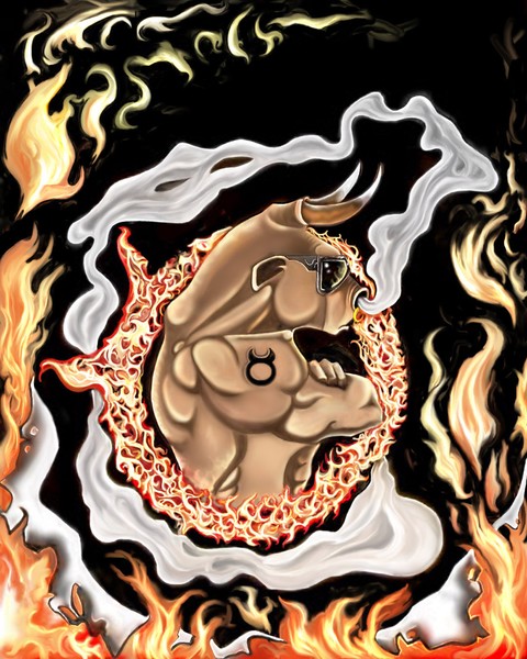 taurusbull