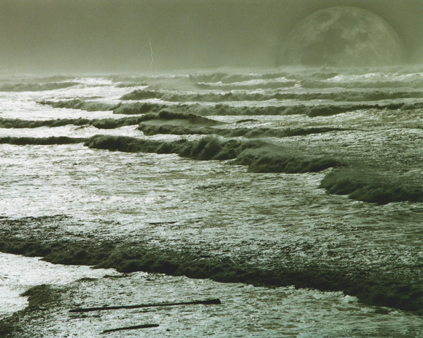 Golden Waves