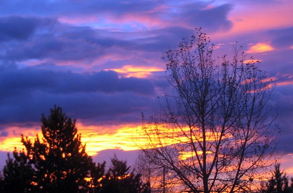 Sunrise Silhouette 