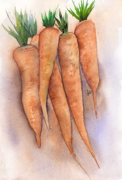 Bunch of Carrots