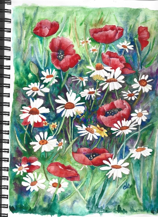poppiesanddaisies