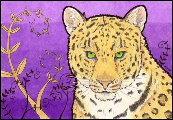 Leopard