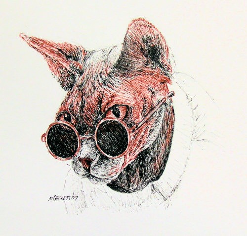 Cool Cat