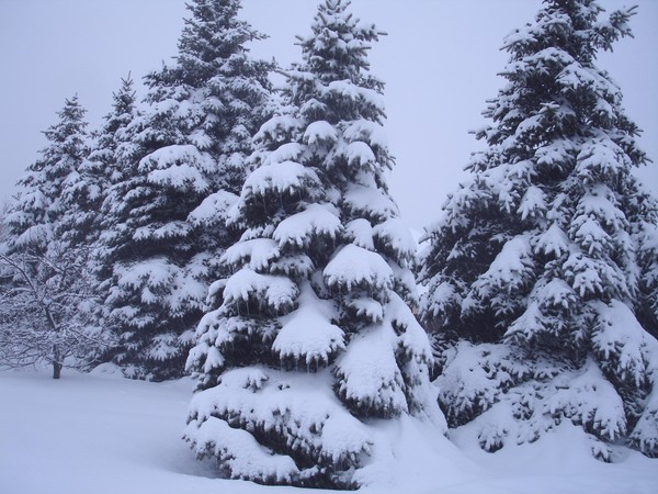 Winter cool