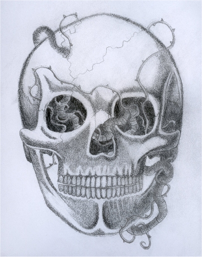 skull