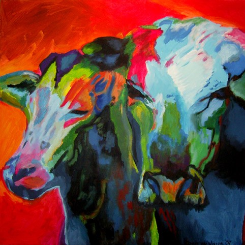 D216 cows 27