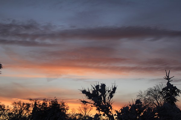 Snowy Sunrise