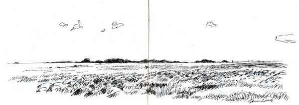 the flatland on Laesoe again