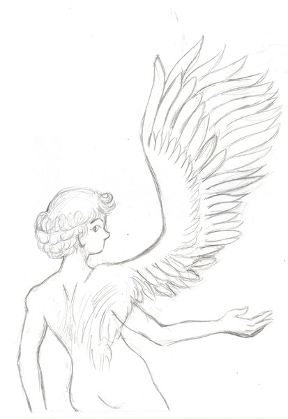Angel Sketch