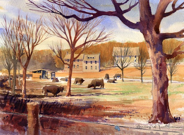 Steinsburg Farm