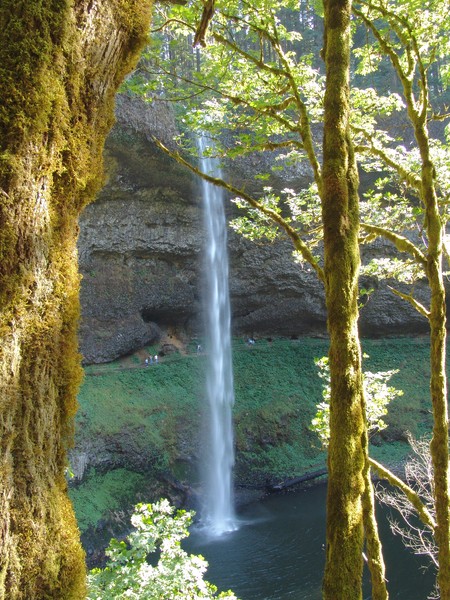 Silver Falls