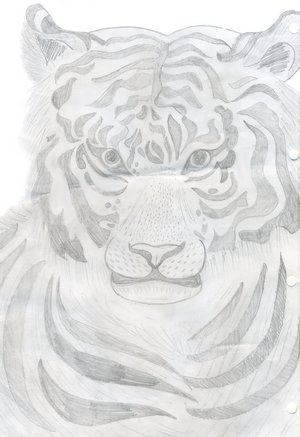 tiger sketch