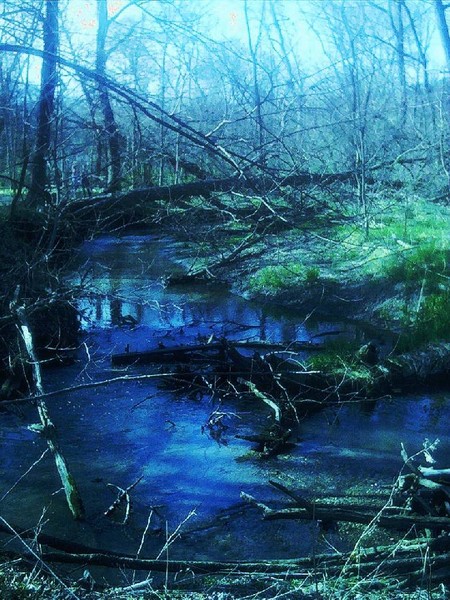 nature excursions pt. 2