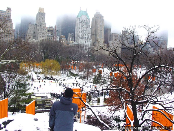 Central Park -The Gates - Snow