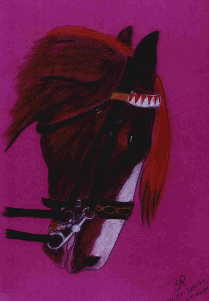 bay horse 3