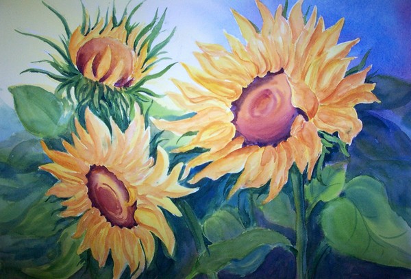 Sunflowers 