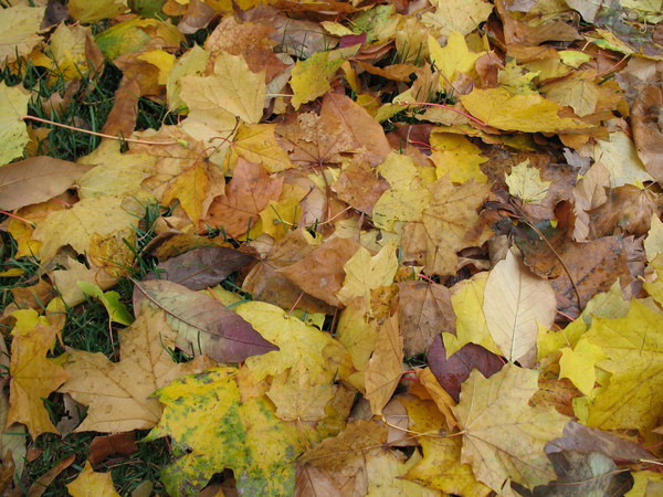 October