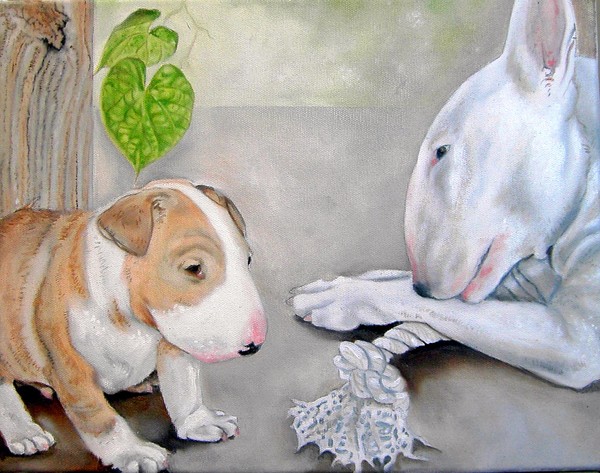 english bull terriers / puppy school