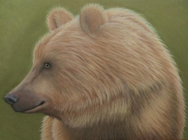 Grizzley