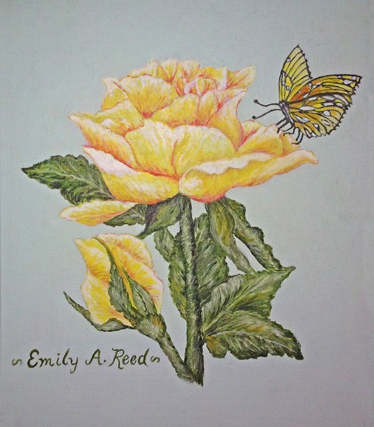 Rose and Butterfly
